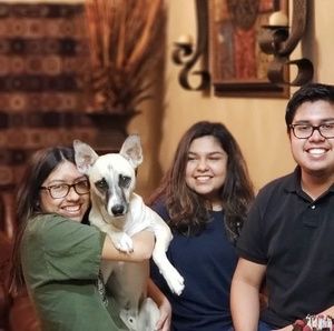 Meet your Posher, Albert